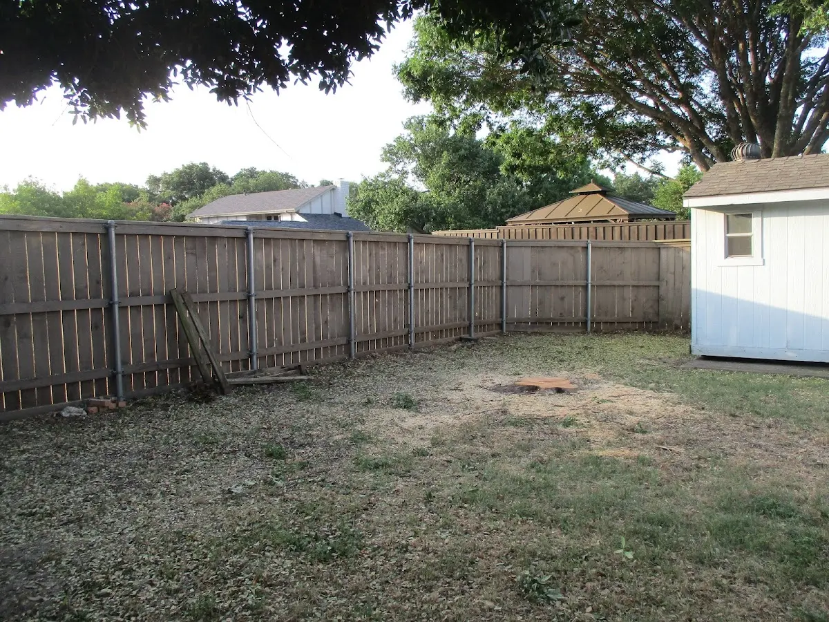 Cleared yard after professional tree removal in Mule Creek