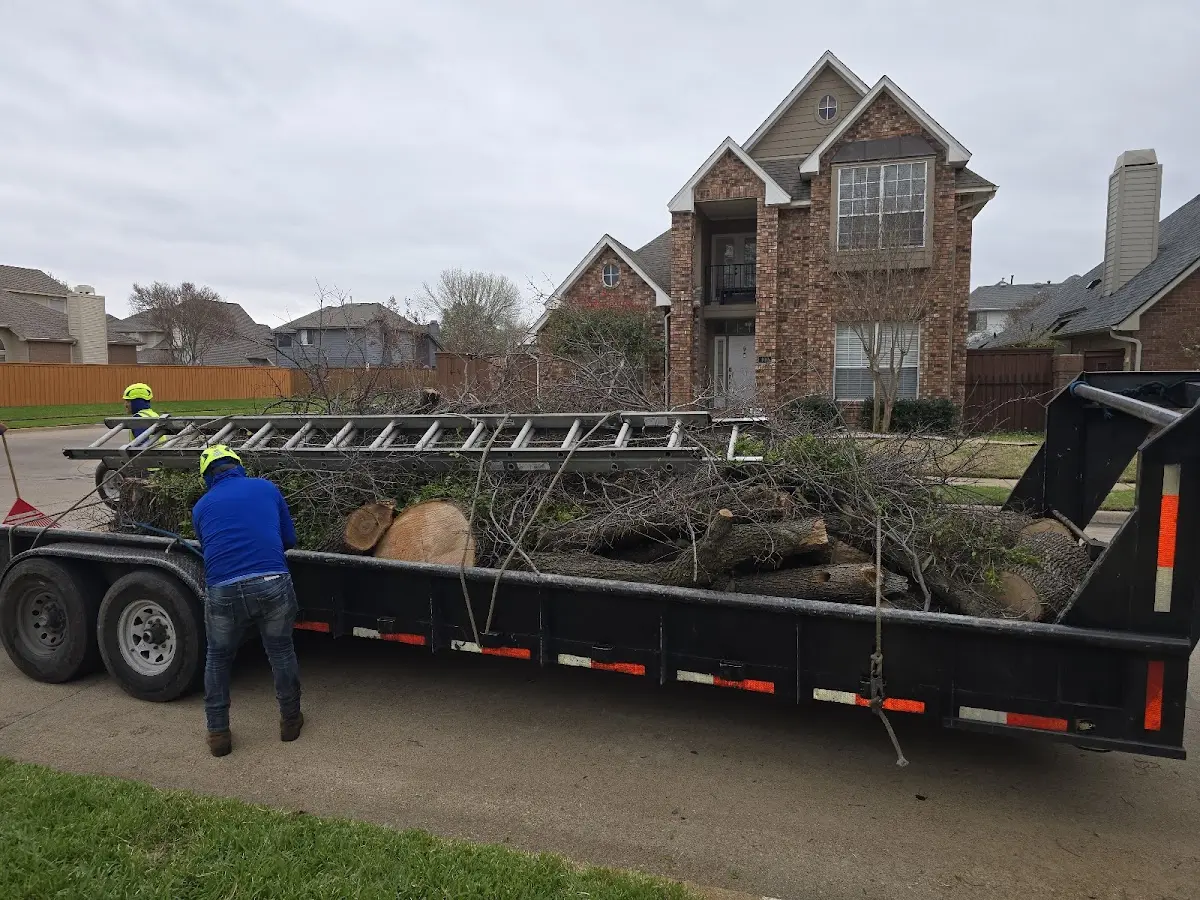 Expert Tree Pest Control with proper safety equipment in Mule Creek
